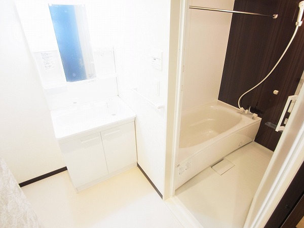 ロチュス・ルカルデ その他2