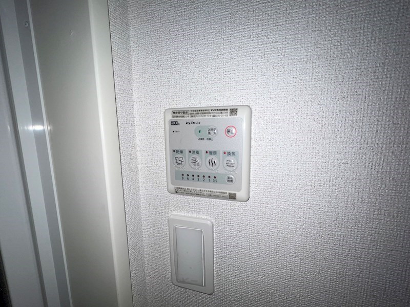 stier virgem その他33