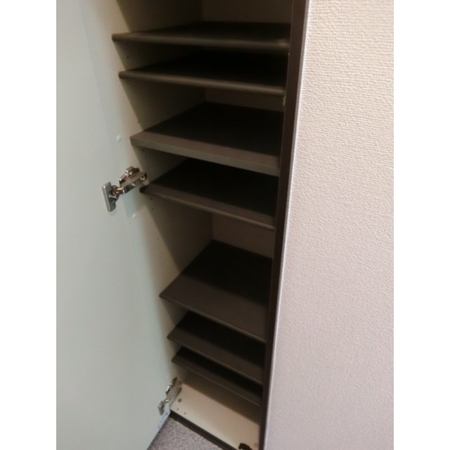 アムールブリアント その他12