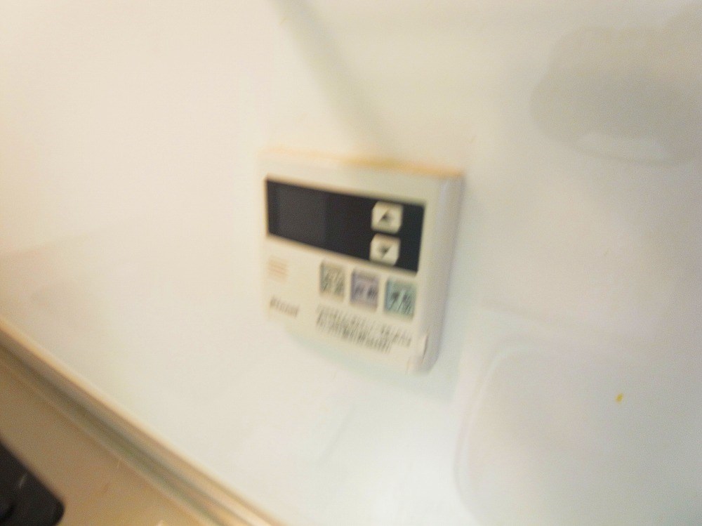 グリーンパーク中川 その他19