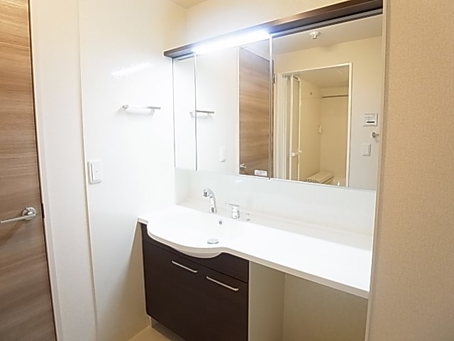 ラピュタ　ウイングス その他2