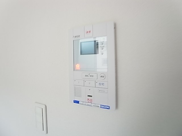 リブリ・フローライト その他4