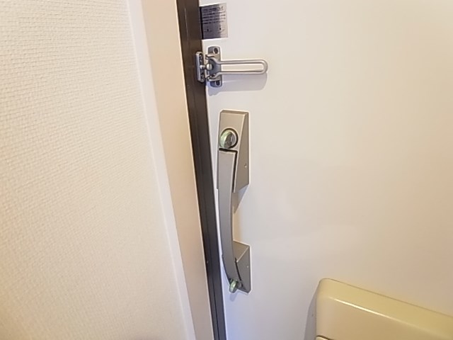 リブリ・フローライト その他10