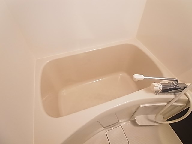 リブリ・フローライト その他15