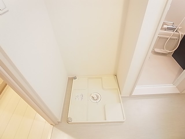 リブリ・フローライト その他16