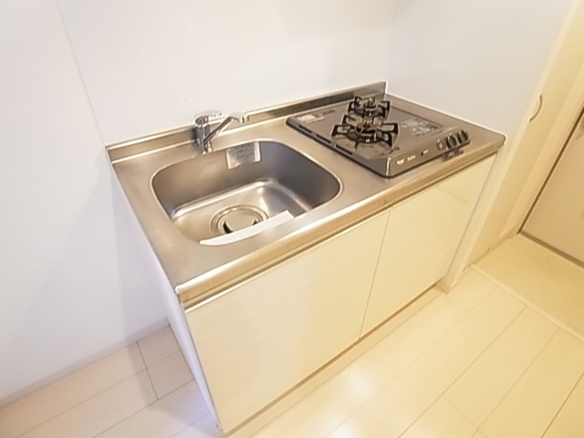 リブリ・フローライト その他17