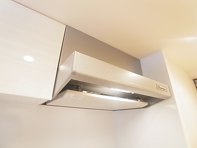 リブリ・フローライト その他20