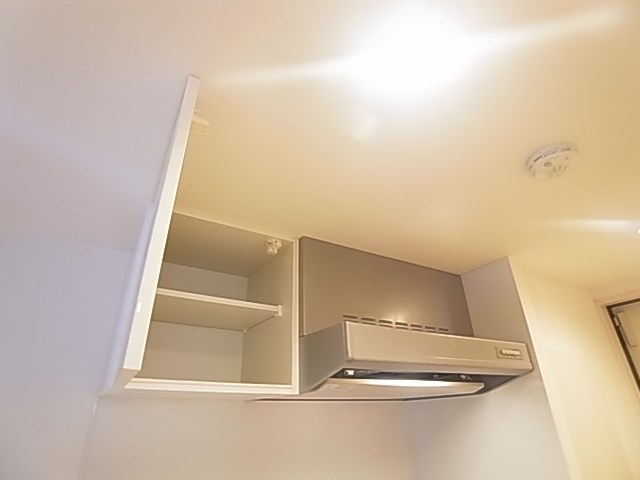 リブリ・フローライト その他22