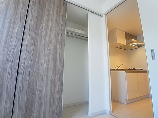 リブリ・フローライト その他25