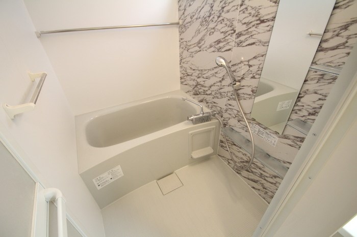 ルピナス8 その他11