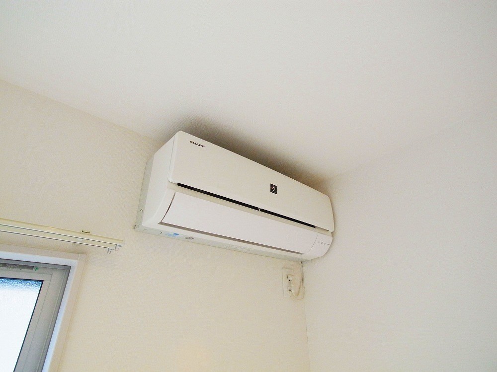 リブリ・セダム その他5