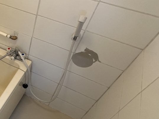 花畑マンション その他2