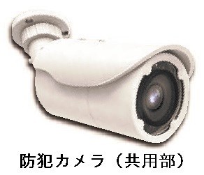 グレイス その他11