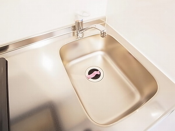 シャルムコート その他13