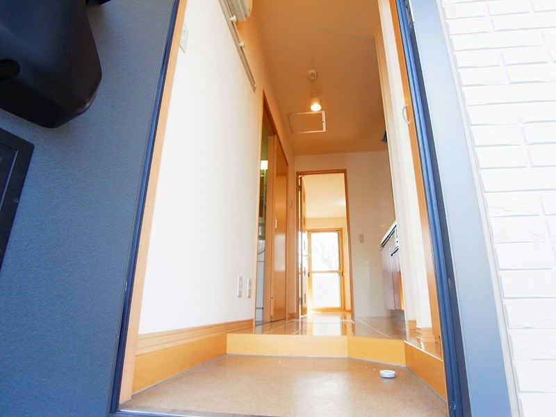 ステラコート その他10