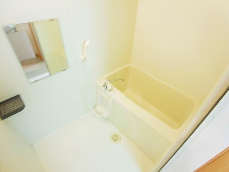 ステラコート その他14