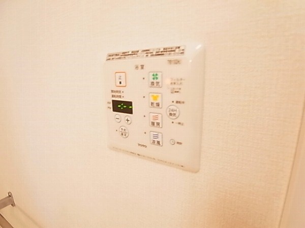 ルイナールＡ その他6