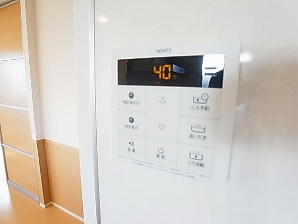 ルイナールＡ その他18