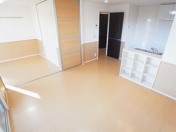 ルイナールＡ その他20