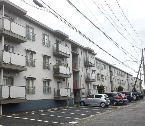 ニチメン第二柏ハイツ1 204号室 外観