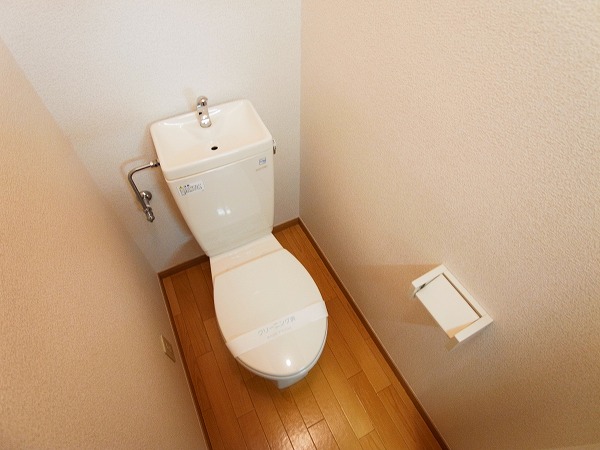 シャイングリーンA その他1