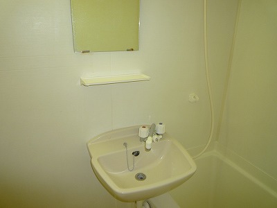 シャイングリーンA その他2