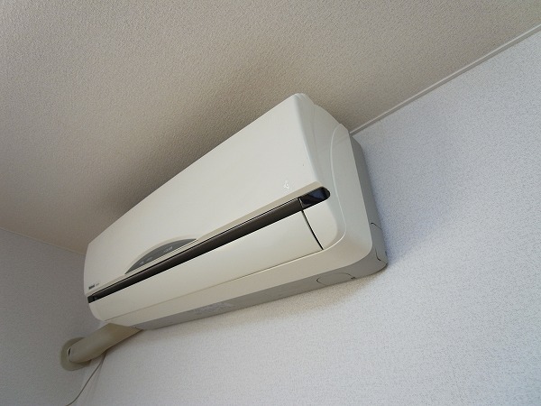 シャイングリーンA その他4