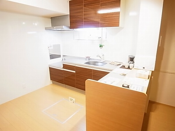 オ・ソレイユABIKO その他7