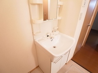 エミネンス（東中新宿） 洗面所