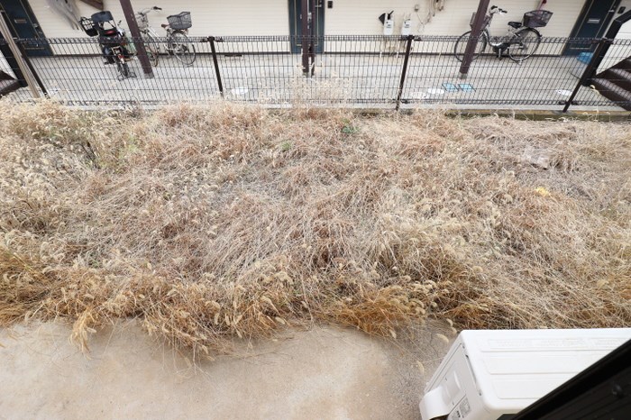 雅壱番館 その他8