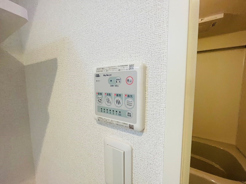 ラピスラズリ その他18