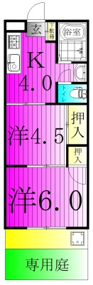 アビタシオン新柏 110号室 間取り
