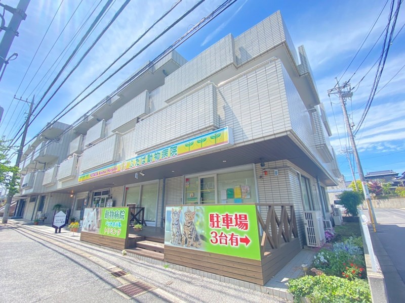 アビタシオン新柏 110号室 外観