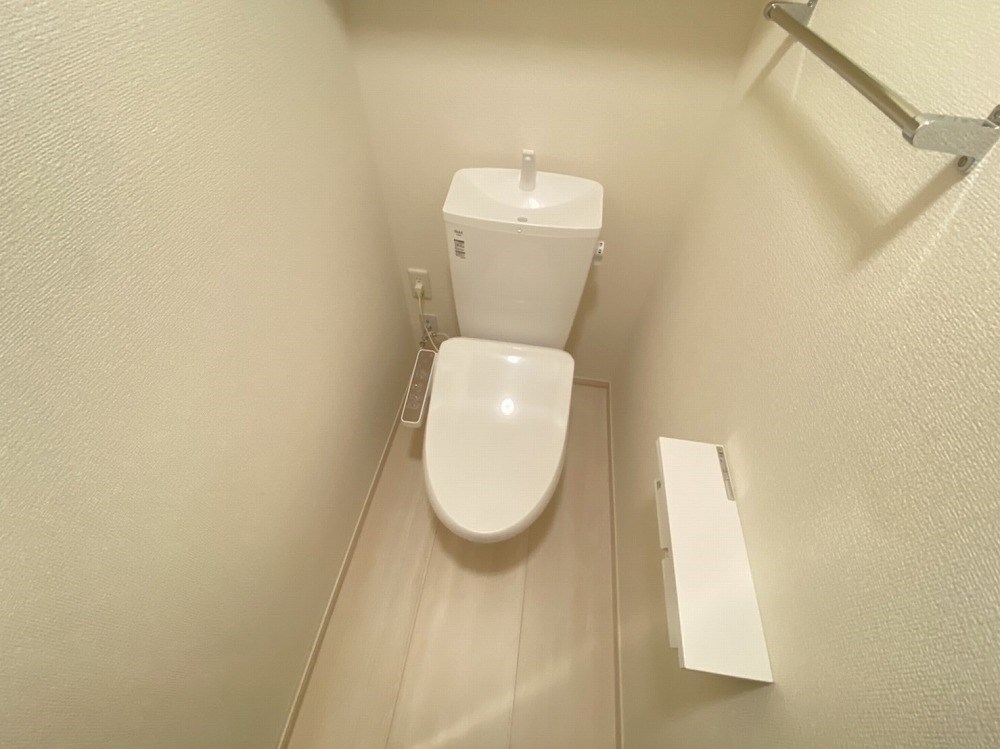 マウナケア その他1