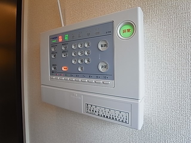 プルメリア その他7