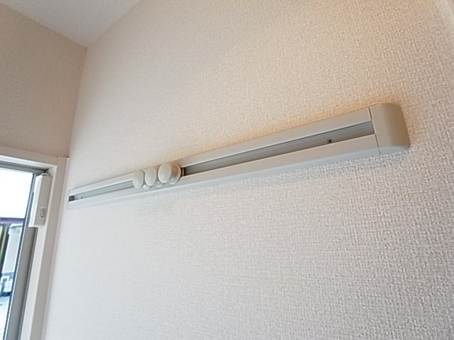 プルメリア その他9