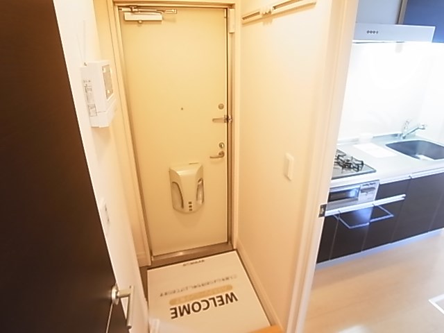 プルメリア その他10