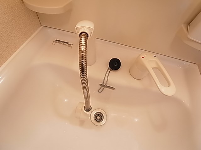 プルメリア その他11
