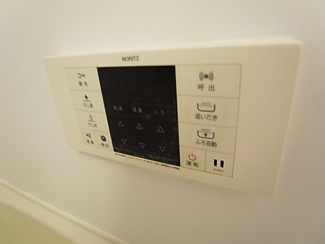 プルメリア その他14