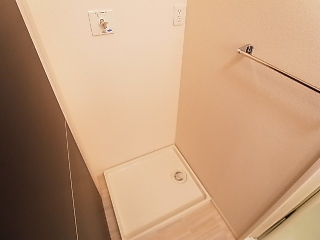 プルメリア その他15