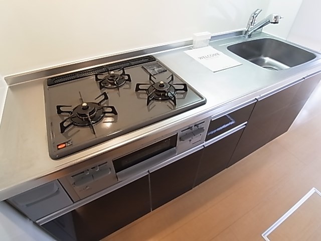 プルメリア その他16
