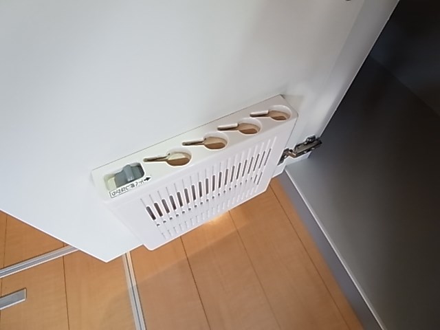 プルメリア その他20