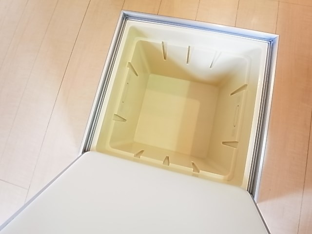 プルメリア その他21