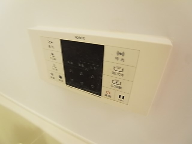 プルメリア その他24