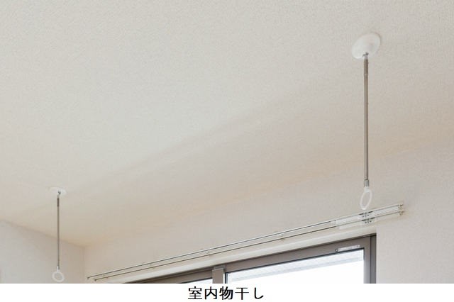 グレイス その他7