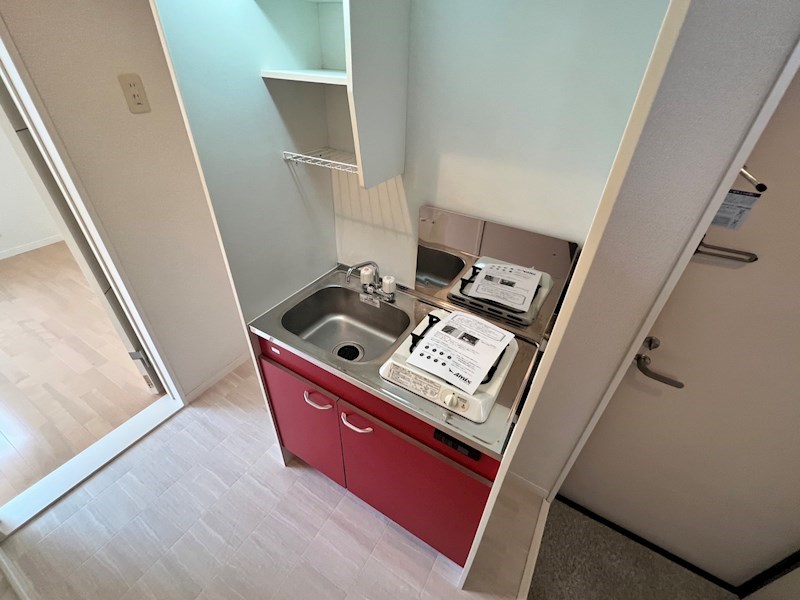 Ｌａ　Ｖｉｅ　ｅｎ　Ｒｏｓｅ その他11