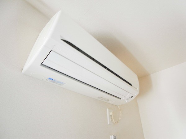 セノーテ その他5