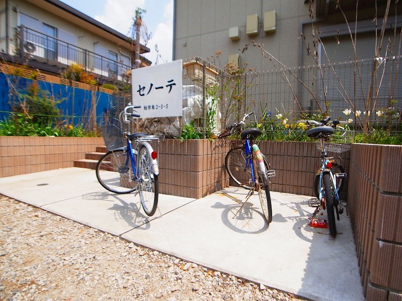 セノーテ その他外観3