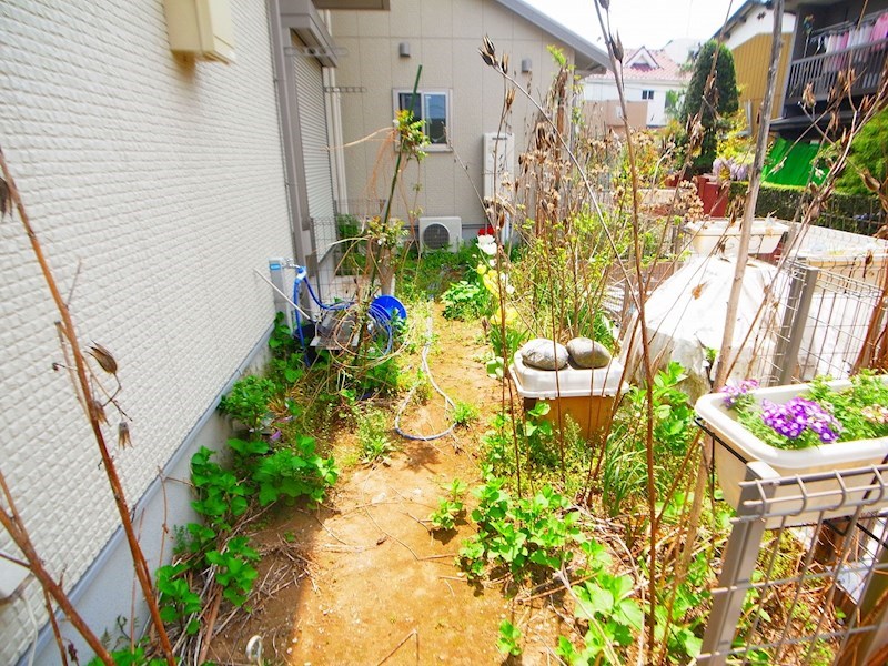 セノーテ その他外観6