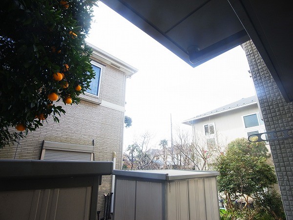 セノーテ その他9